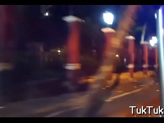 Bitch disrobes to show her beaver